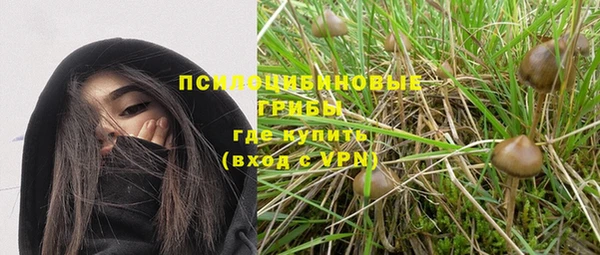 мдпв Костерёво