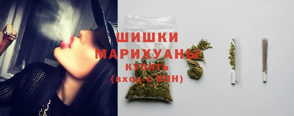 мдпв Костерёво