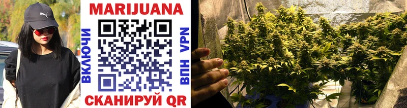 Купить закладки  Ельня  Марихуана LSD WEED 